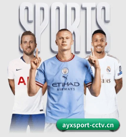 用冷酷数据对抗流量喧嚣（AYXSPORTS）